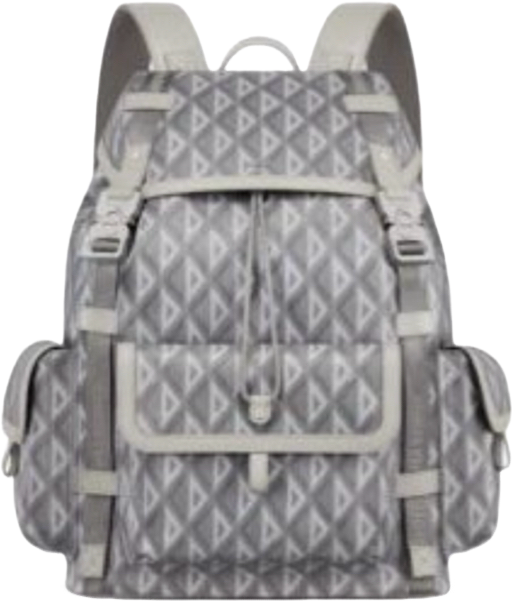 Sac À dos CD Gris facture