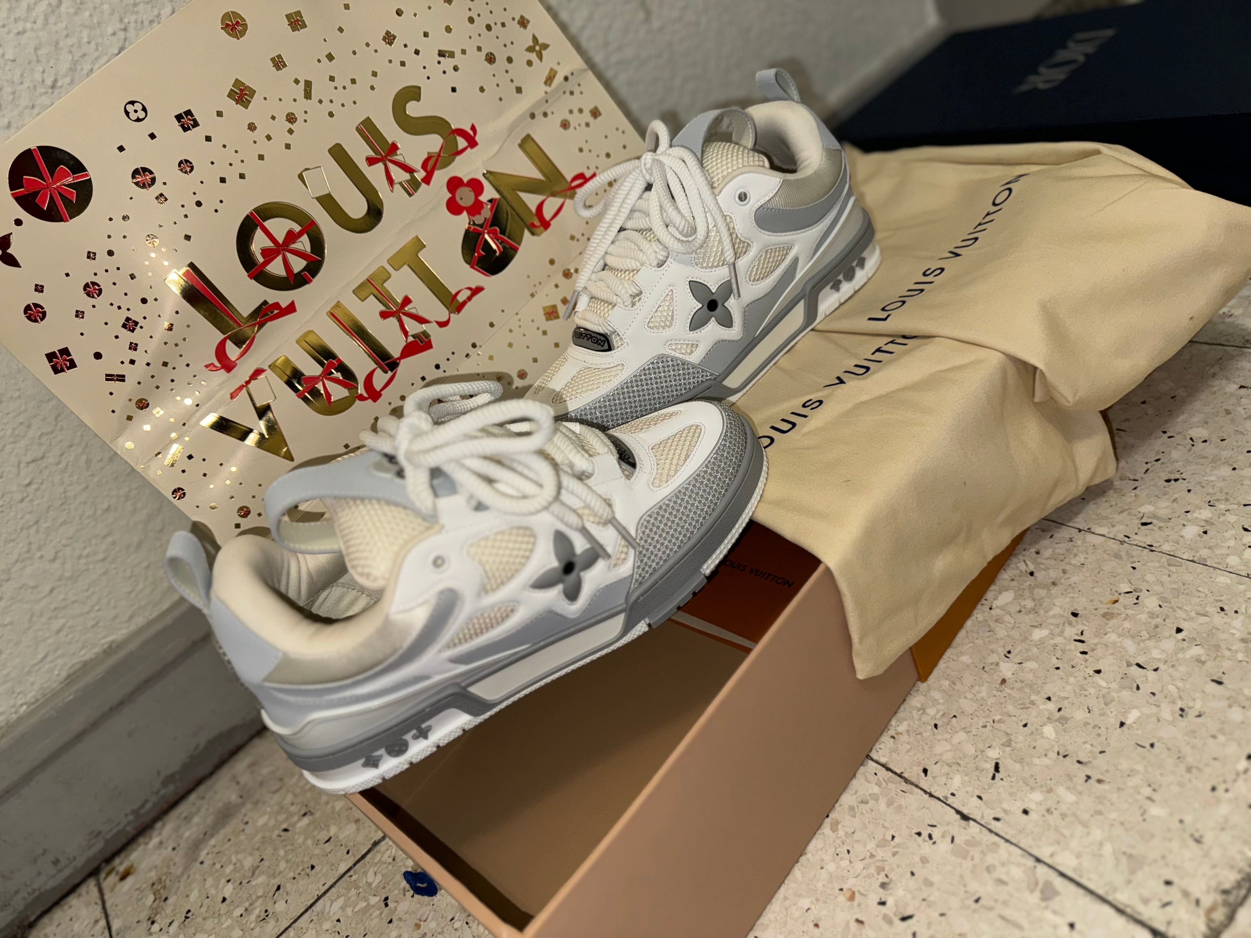 Sneakers  Lv Skate grey 10/10 facture