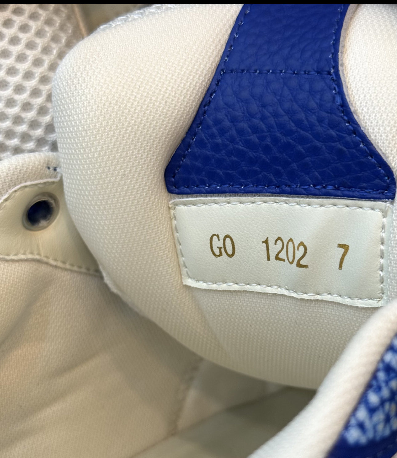 Lv skate bleu 2k25  10/10