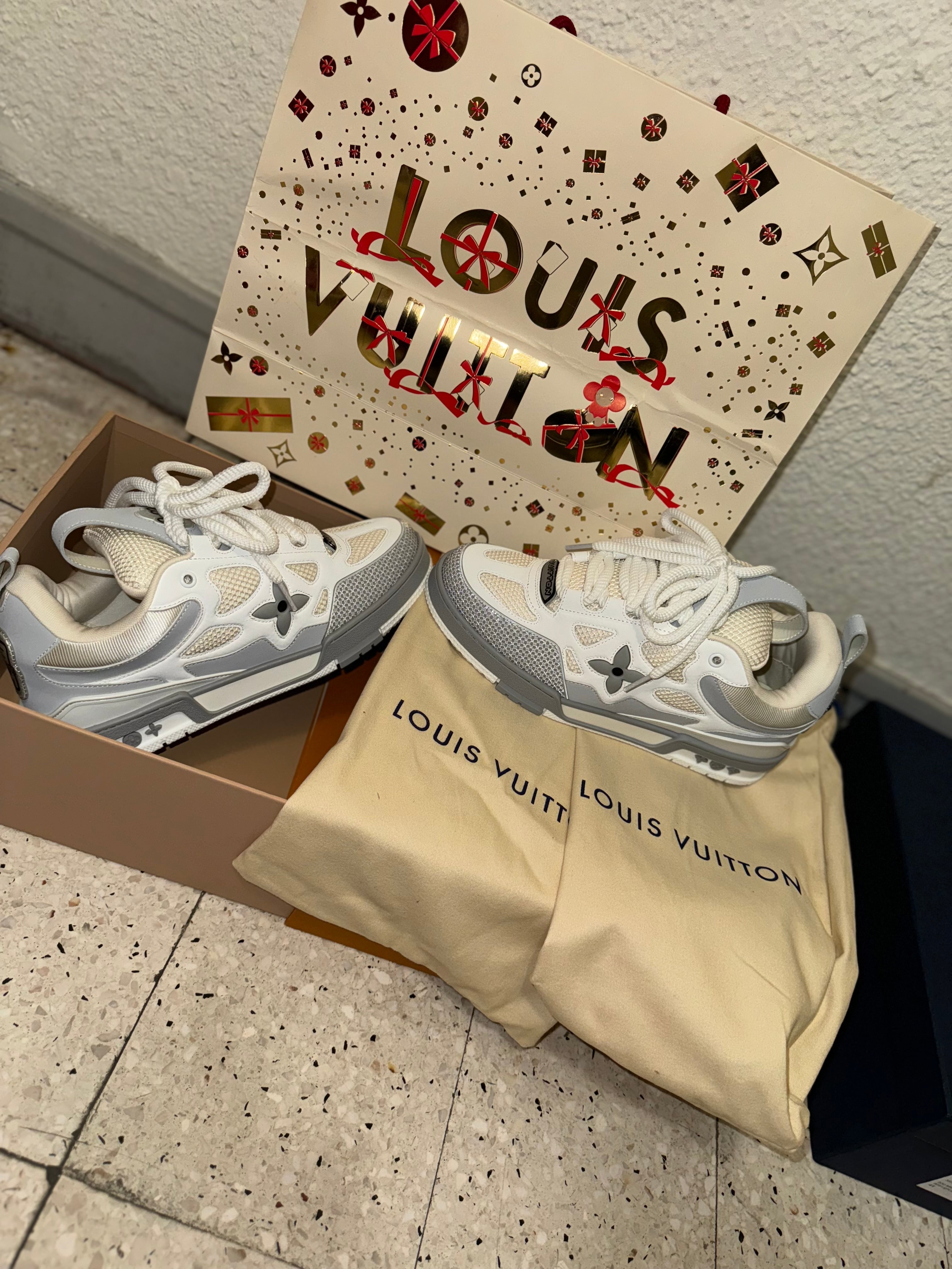 Sneakers  Lv Skate grey 10/10 facture