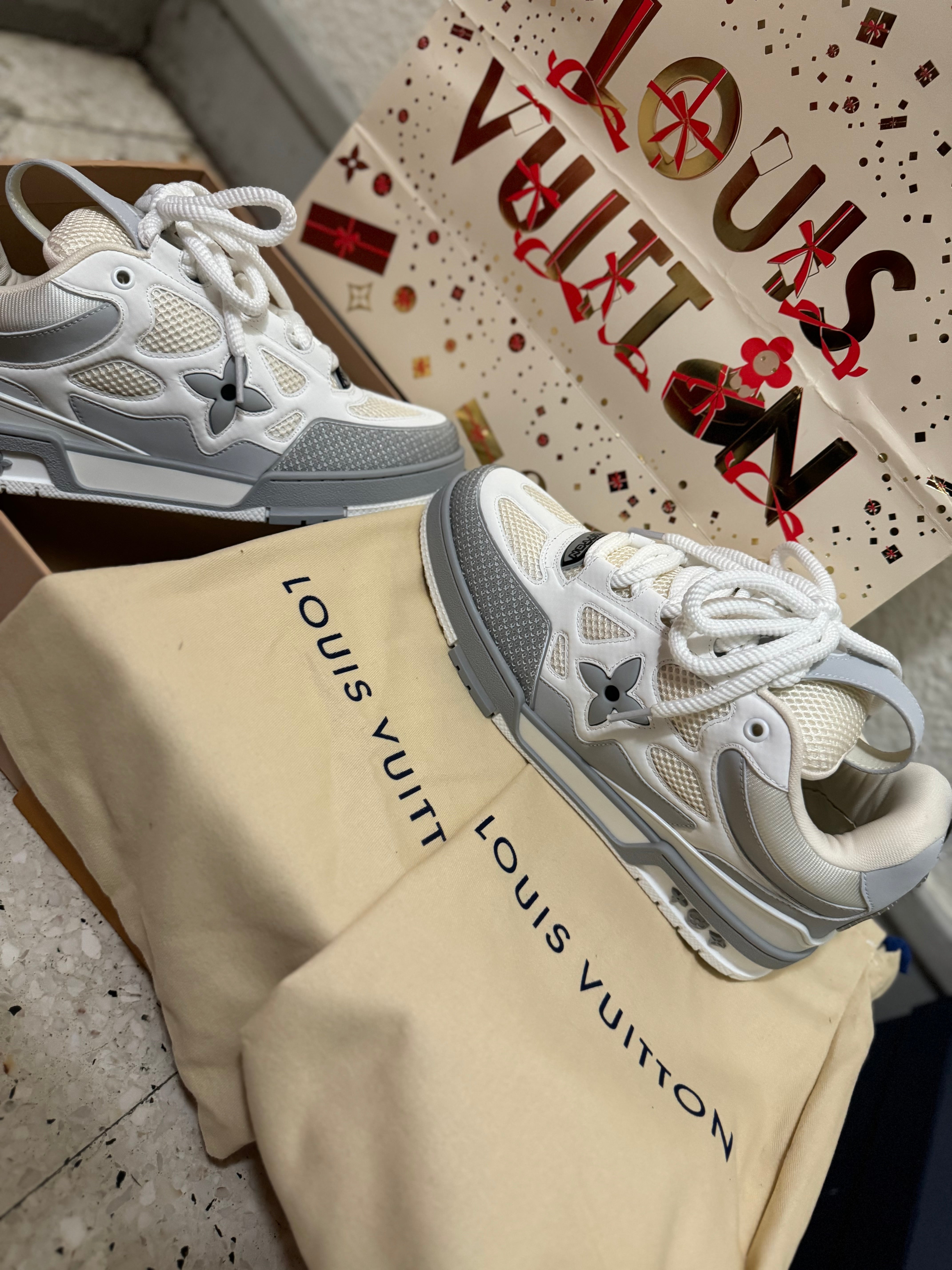 Sneakers  Lv Skate grey 10/10 facture