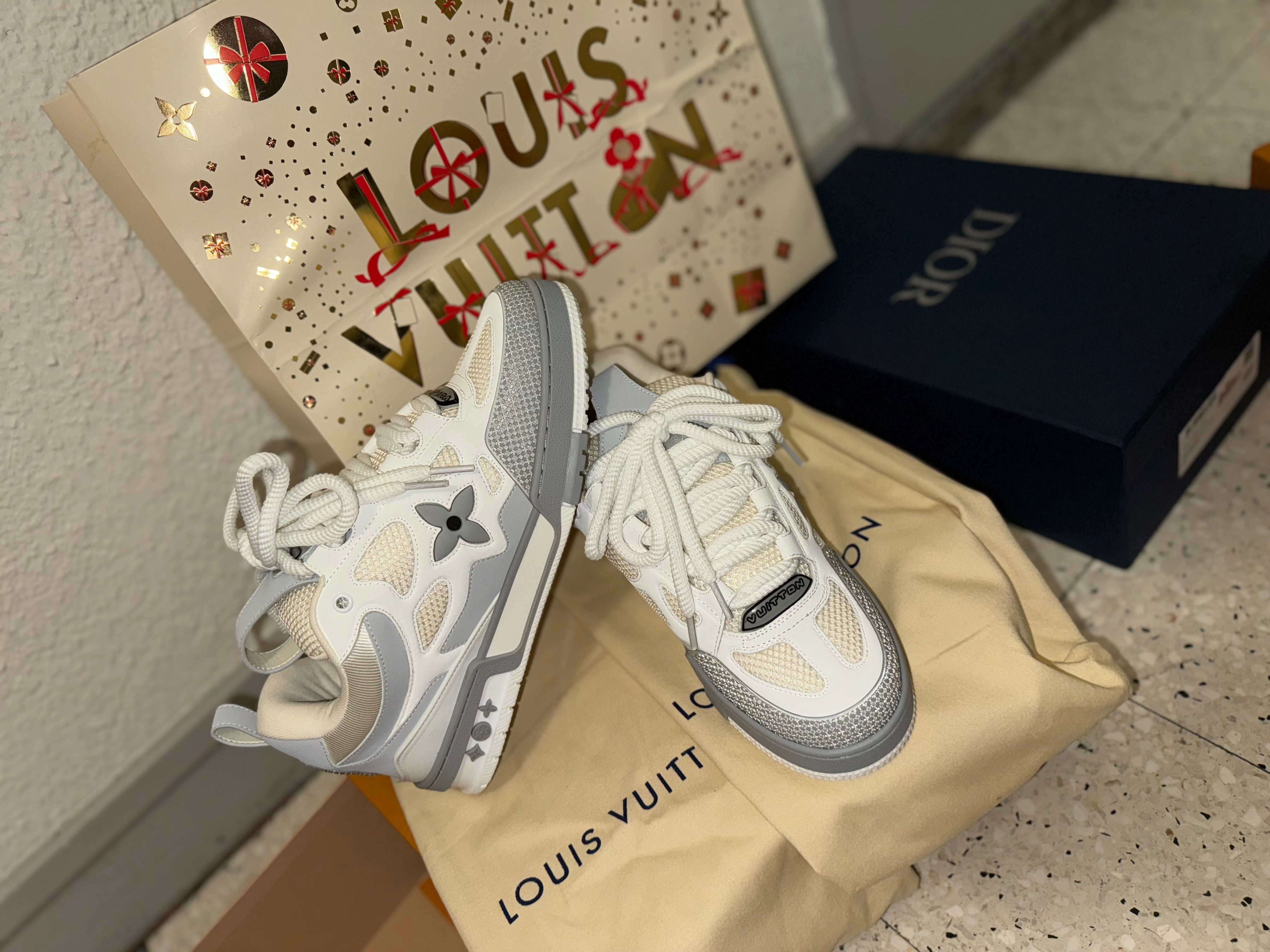Sneakers  Lv Skate grey 10/10 facture