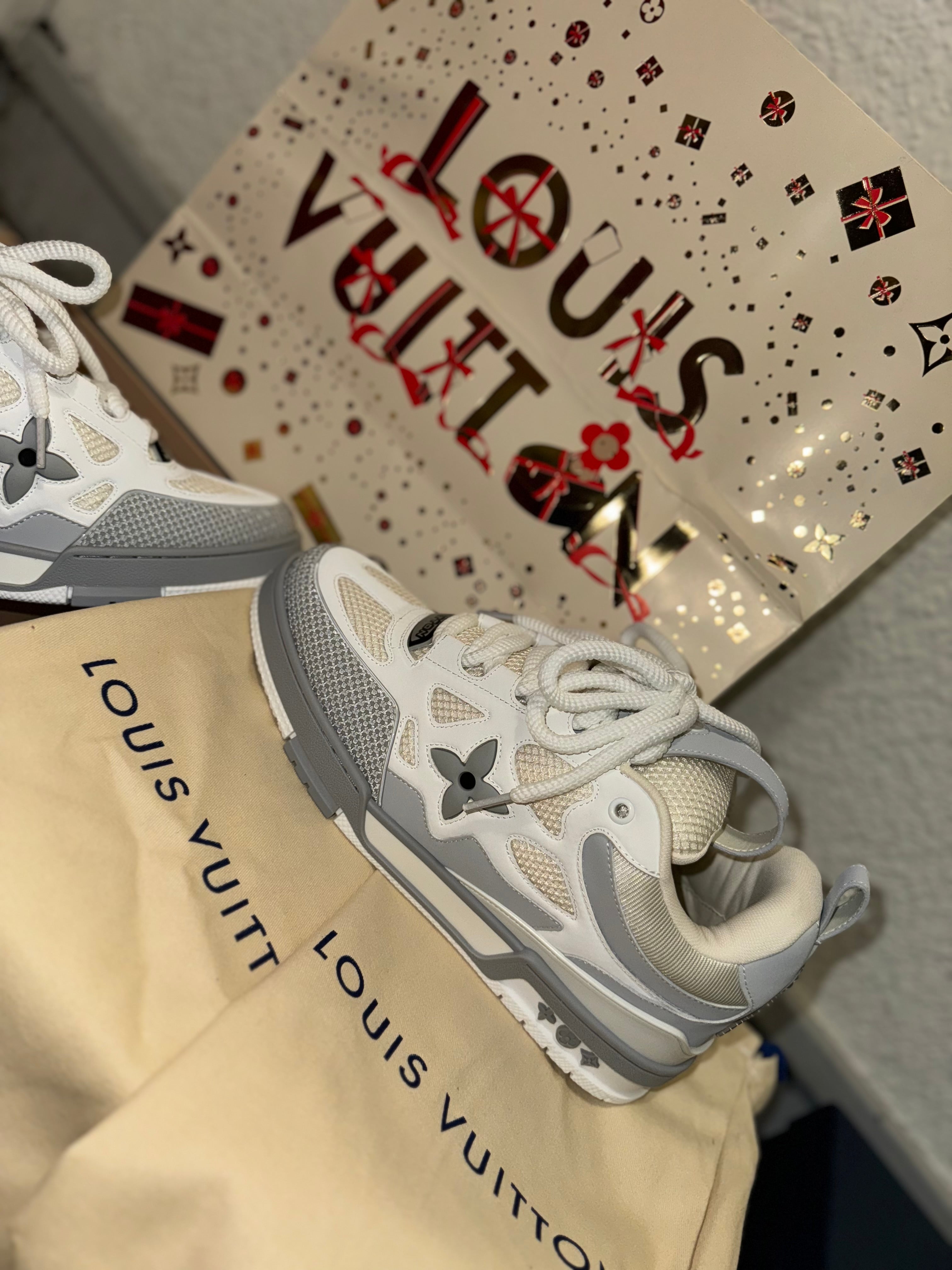 Sneakers  Lv Skate grey 10/10 facture