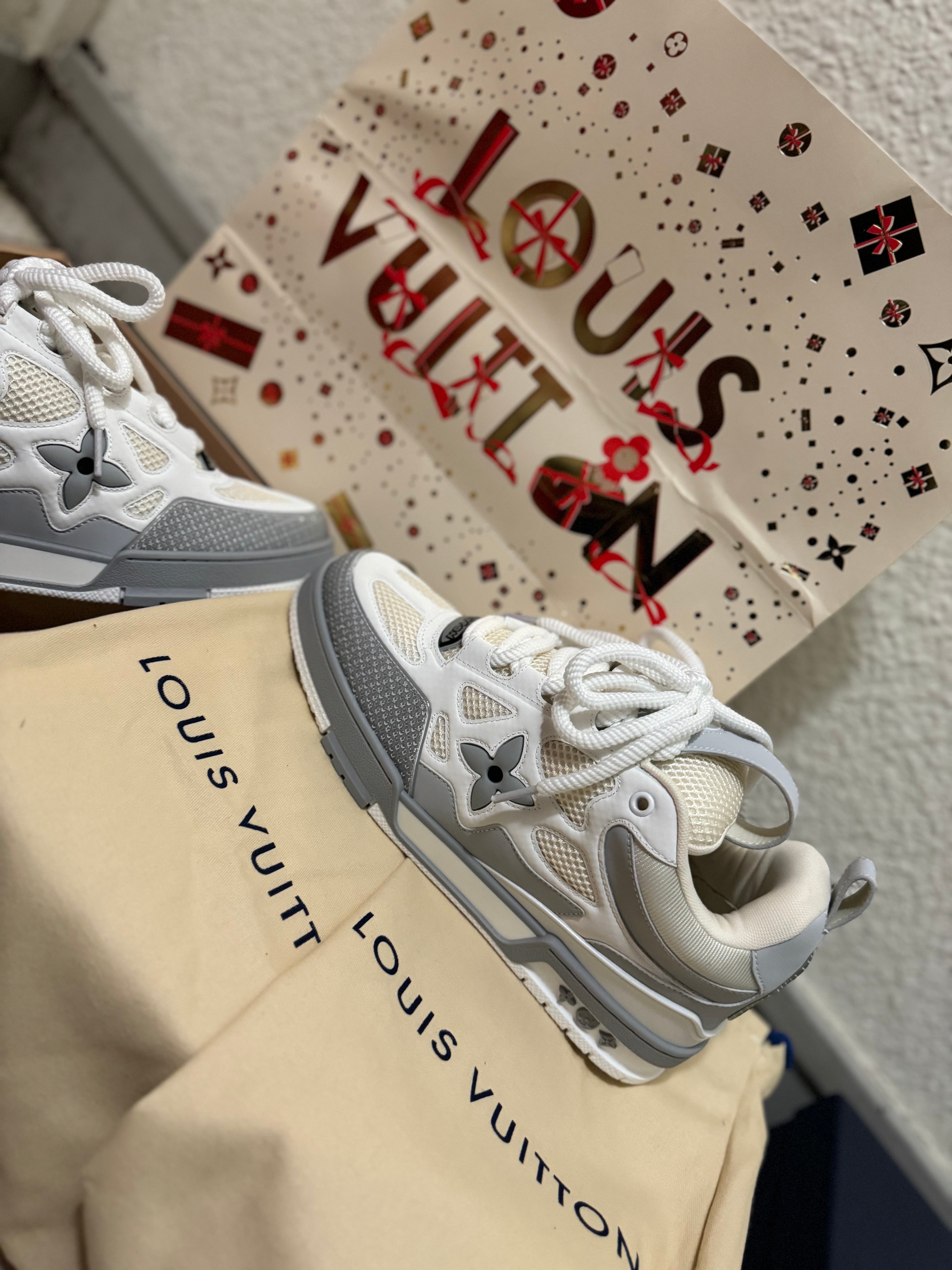 Sneakers  Lv Skate grey 10/10 facture